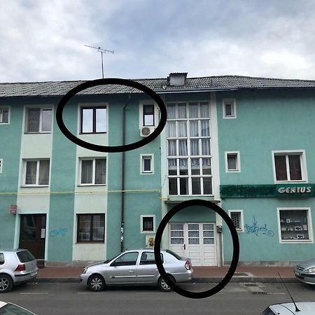 Vintage Apartment Suceava Eksteriør bilde