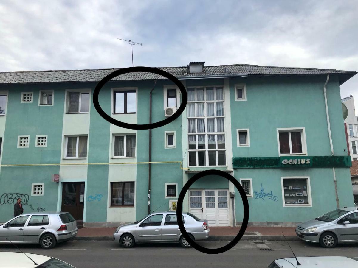 Vintage Apartment Suceava Eksteriør bilde