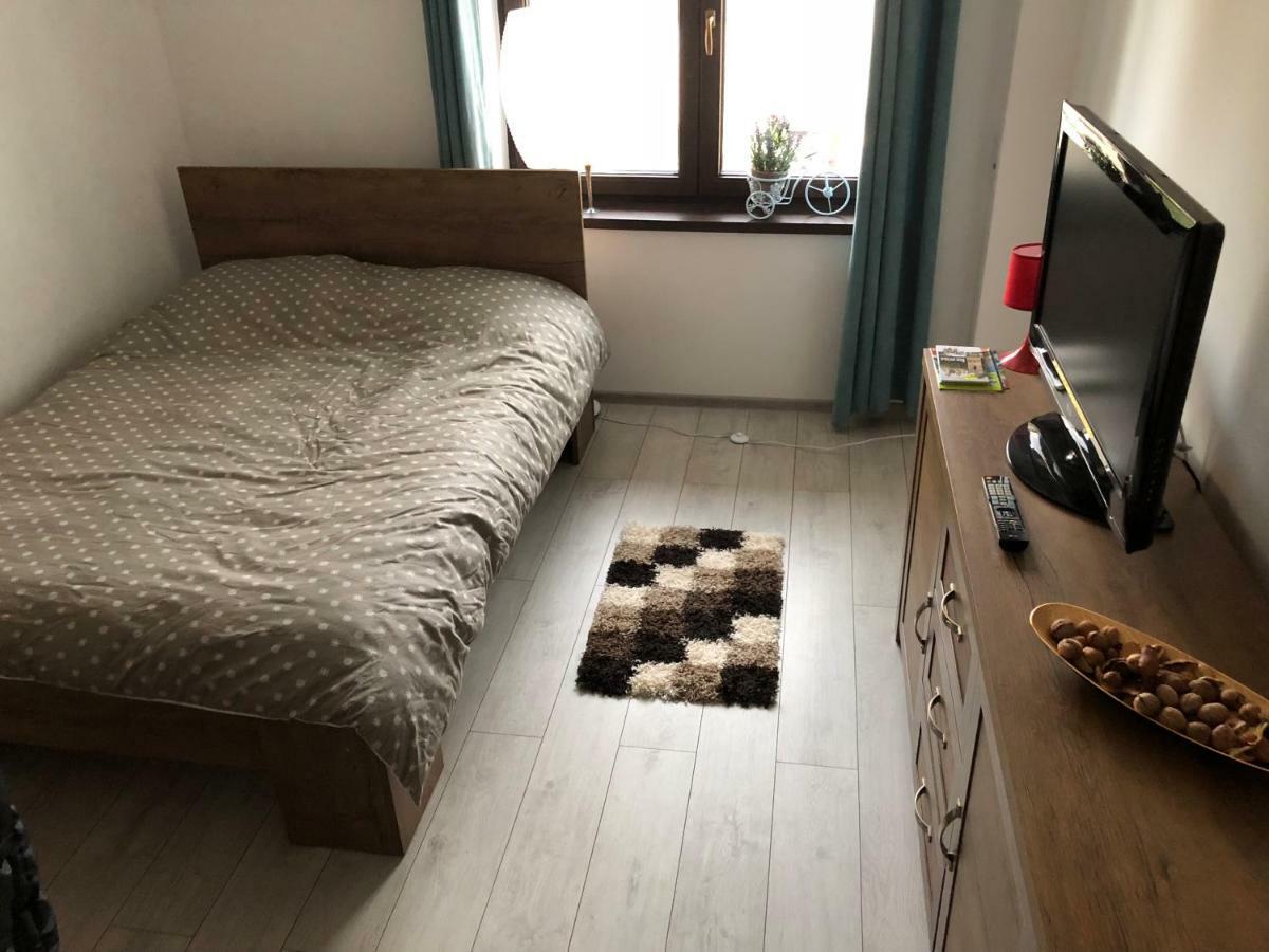 Vintage Apartment Suceava Eksteriør bilde